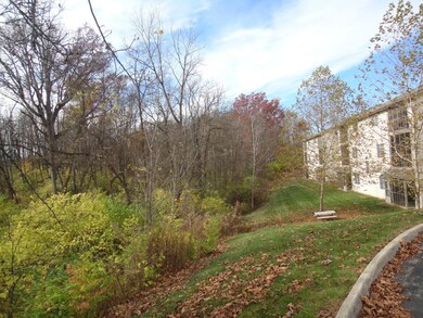 Wooded Ravine