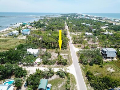 501 W Bay Shore Dr, Saint George Isl, FL 32328 - photo 7