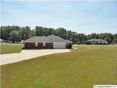 The large side-entry driveway offers plenty of space for additional vehicles. This view also shows off the large front yard.