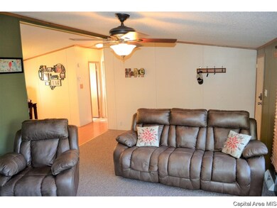 202 W Springfield St, Virginia, IL 62691 - photo 3