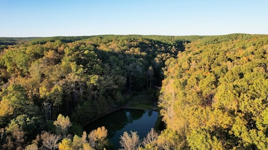 Hughes Farm Rd, Collinwood, TN 38450 - photo 6