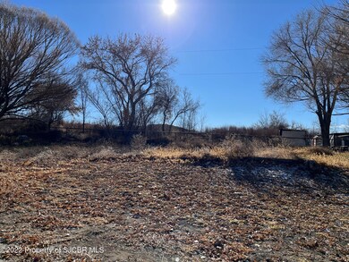1406 #10 Saiz Ln, Bloomfield, NM 87413 - photo 2