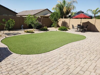 back yard 3