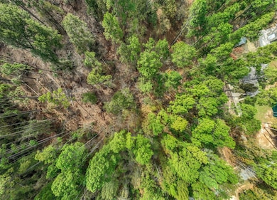 Lot 11 Pintail Dr, Flint, TX 75762 - photo 4