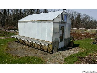 Yard/Garden.