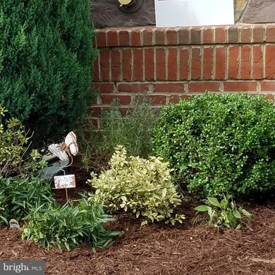 3000 Chinkapin Oak Ln unit 153, Woodbridge, VA 22191 - photo 5