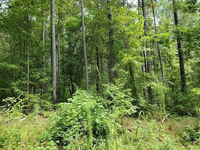 0 Goolsby Rd unit 7655845, Monticello, GA 31064 - photo 5