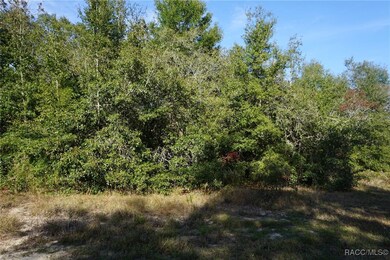 1399 E Ridgefield Dr, Hernando, FL 34442 - photo 5