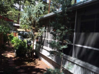 Shaded Garden