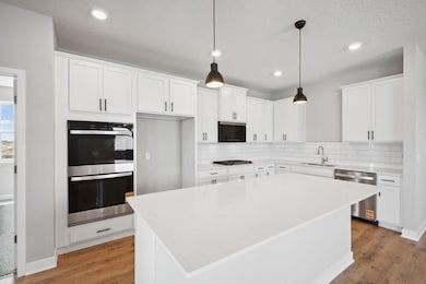 3776 Brookside Dr, Chaska, MN 55318 - photo 4