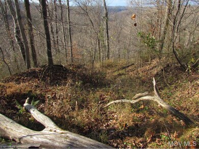 Trail