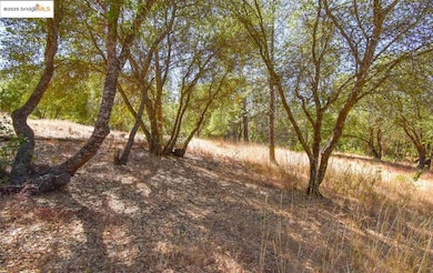 Par B Sawmill Flat Rd, Sonora, CA 95370 - photo 5