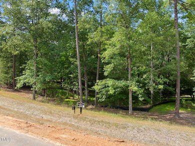 DJI_20250617163348_0141_D (Medium)
