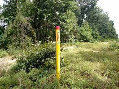 VL Gas Line Rd, Baldwin, MI 49304 - photo 2