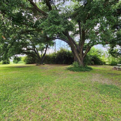 189 Palm Ave, Larose, LA 70373 - photo 4