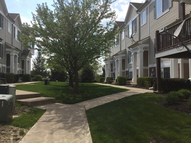 Yard/Garden