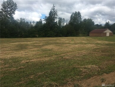 862 Highway 603, Chehalis, WA 98532 - photo 3