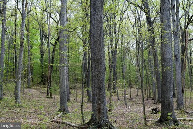 0 Catron Ridge Rd unit 1000405215, Bentonville, VA 22610 - photo 3