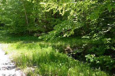 0 Farm Ridge Rd unit Lots 18/19, Ludlow, VT 05149 - photo 4