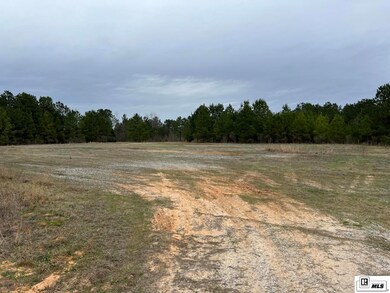 0 Mcdaniel Rd unit 209050, Downsville, LA 71234 - photo 5