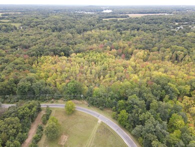 46th ave DJI_0689 (2)
