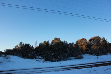 0 Power Line Rd unit 234621, Overgaard, AZ 85933 - photo 2