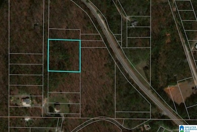 4976 Mountain Rd unit 22, Bessemer, AL 35023 - photo 5