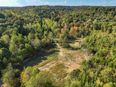 Cedar Grove Rd unit LotWP003, Salem, KY 42078 - photo 6