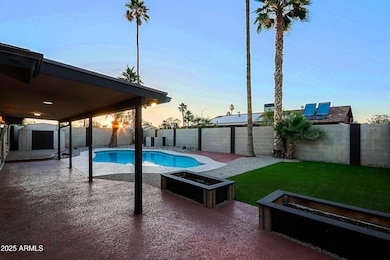 Backyard 1