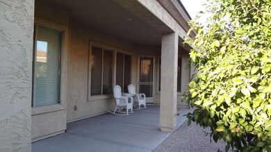 LARGE COVERED PATIO FRUIT TREES