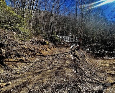 3837 Plott Balsam Rd unit 58, Maggie Valley, NC 28779 - photo 4