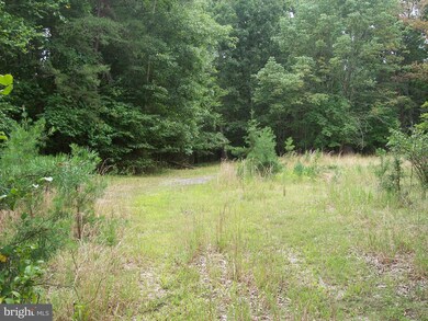 7413 Rosita Ct, Manassas, VA 20112 - photo 2