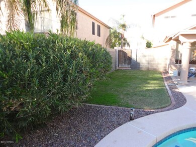 Backyard 2