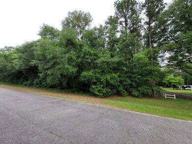 1415 Broach Ave, Putney, GA 31705 - photo 2