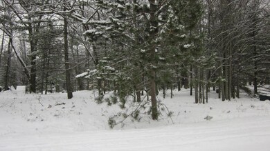 winterlot