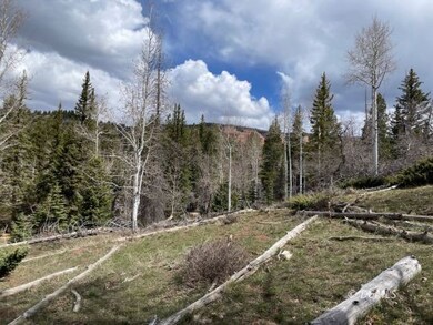 Early spring at the property