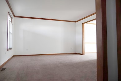 1707 Chestnut Hill Rd, Plainfield, IL 60586 - photo 4