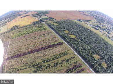 Lot 3 Old Telegraph Rd, Chesapeake City, MD 21915 - photo 4