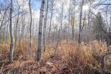 42xa Stebner Rd, Hermantown, MN 55811 - photo 5