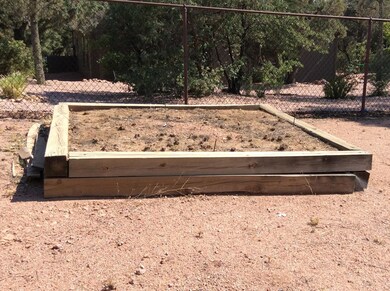 backyard 3 (2)