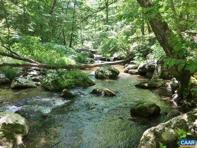 Long frontage on beautiful North Fork, native trou