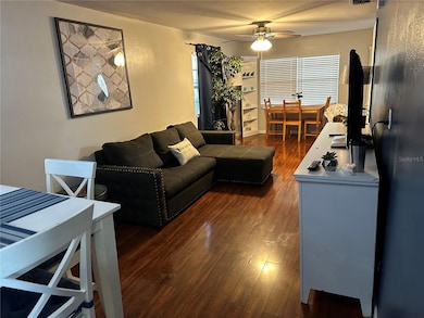 2521 Lorraine St, Tampa, FL 33614 - photo 6