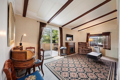 6720 Evergreen Ave, Sebastopol, CA 95472 - photo 5