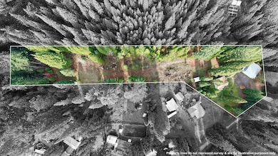 431 Red Blanket Rd, Prospect, OR 97536 - photo 3