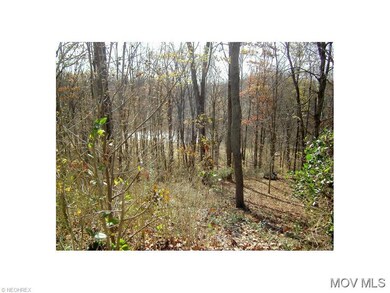 1 acre wooded back lot w/trail