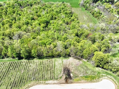 59371 4th Ave Lot unit WP001, Grand Junction, MI 49056 - photo 2