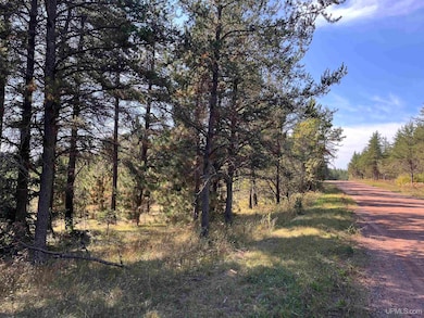 TBD E Martin Lake Rd, Forsyth Township, MI 49885 - photo 4