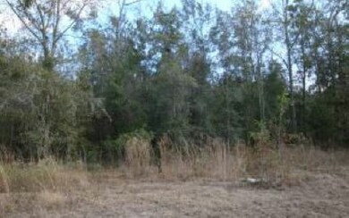 755 NW Country Lake Dr, Lake City, FL 32055 - photo 4