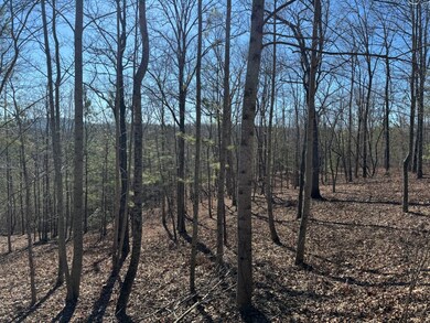 0 Harris Creek Drive Lot unit 29, Ellijay, GA 30540 - photo 4