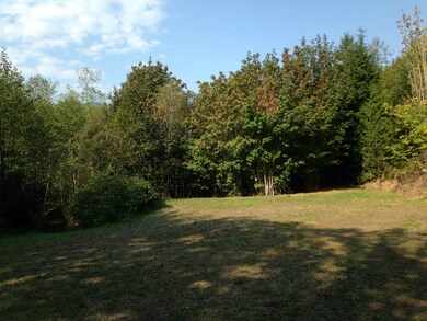 0 Center Rd unit 832903, Quilcene, WA 98376 - photo 2
